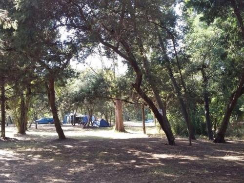 Logement de Vacances avec Terrasse - Pinarello Plage - API-1-52-904 in Sorbo-Ocagnano