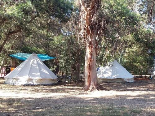Logement de Vacances avec Terrasse - Pinarello Plage - API-1-52-904 in Sorbo-Ocagnano