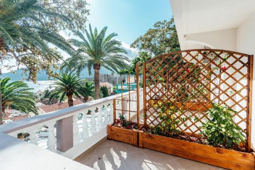 Apartments Belvedere in Herceg Novi&nbsp;óváros