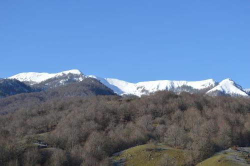 Hotel Pinguino - image 5