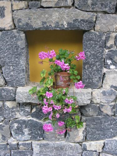 La Posada de Cucayo