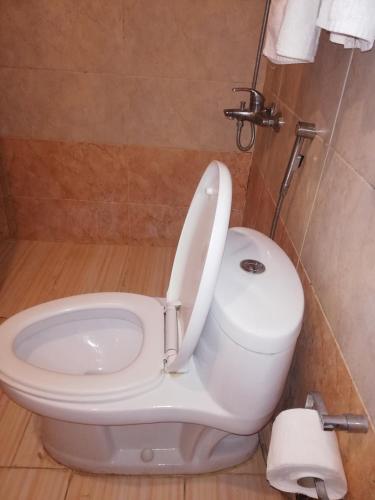 Ambassador Inn - image 12
