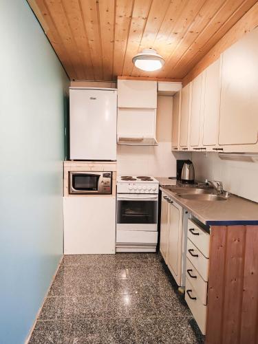 Lumikko Aurora Loft in Enontekio