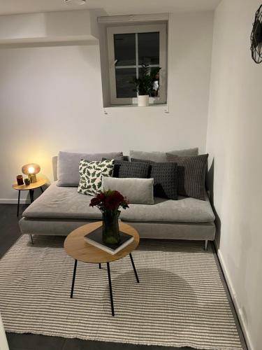 Newly renovated apartment close to city center, Oslo