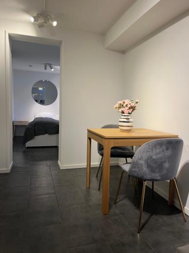 Newly renovated apartment close to city center in Sogn