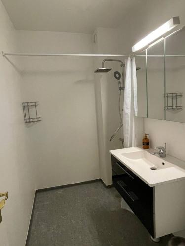 Cozy 1-Bedroom Apartment in Central Hvidovre Copenhagen - image 10