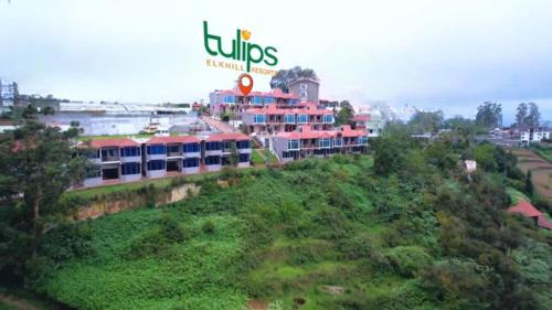Tulips Resorts - Elkhill, Utakamand