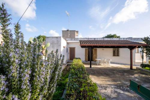Residenza 43