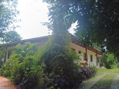 ecopolis birds lodge in El Queremal