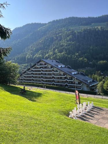 Tuvākā izklaides vieta, Mountain Apartment in Torgon - Refuge du Souffle Alpin in Torgona
