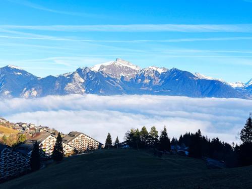 Tuvākā izklaides vieta, Mountain Apartment in Torgon - Refuge du Souffle Alpin in Torgona