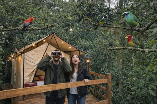 Glamping Colibrí, bosque vecino y vista a la montaña al mismo tiempo