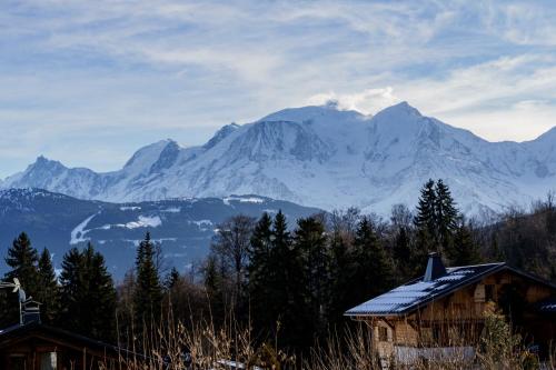 Chalet Panorama