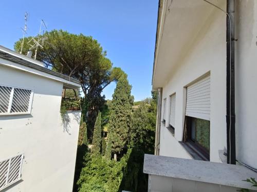villa ada penthouse
