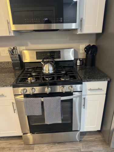 Spacious 2BR Apt with Balcony and 2 King Beds Sleeps 6 in South Beloit (IL)