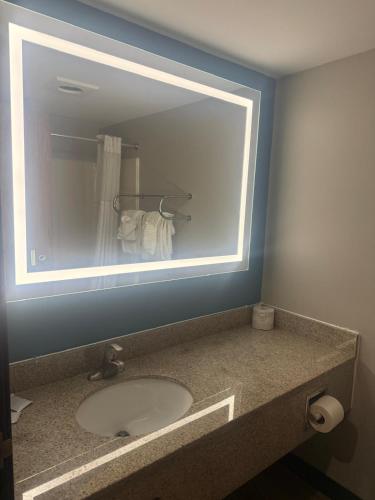 Quality Inn & Suites Detroit Metro Airport, Romulus (fotografie 8)