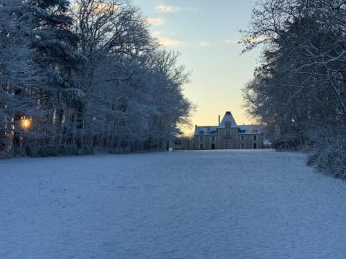 Château des Usages (Chateau des Usages) in La Chapelle Blanche Saint Martin