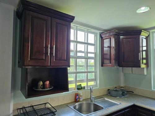Modern 1 Bedroom Apartment Near Roseau in Canefield