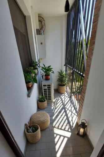 Létesítmények, Casa Terzi in Corticella
