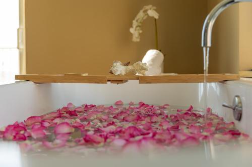 Spa, The Don CeSar in St. Pete Beach (FL)