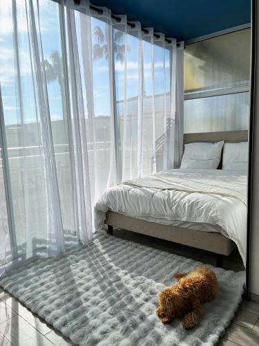 Holidays 80 - Location saisonnière - Saint-Laurent-du-Var