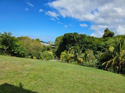 Modern 2-bedroom Apartment near Roseau in Canefield