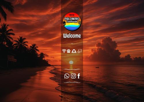 Exterior view of Hostal Palomino EcoHouse & Camping