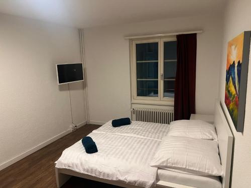 Central Living Brugg - Studio 11 in Brugg, Schweiz