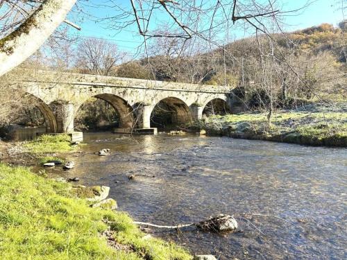 gite du navech in Laguiole