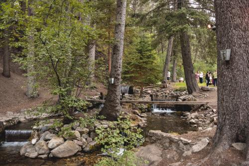 OVER THE RIVER AND THROUGH THE WOODS - image 13