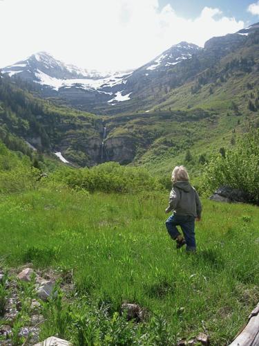 OVER THE RIVER AND THROUGH THE WOODS - image 8