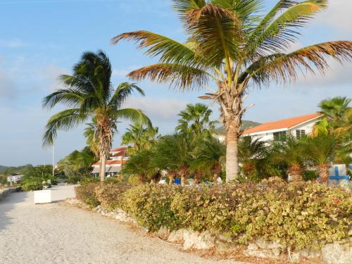 Marazul Ocean Front Apartment