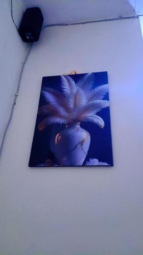 Pheehome place in 尼亞利海灘