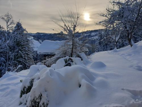 Ümbrus, Grosses Ferienhaus für traumhafte Familienferien im Appenzellerland (Grosses Ferienhaus fur traumhafte Familienferien im Appenzellerland) in Speicher