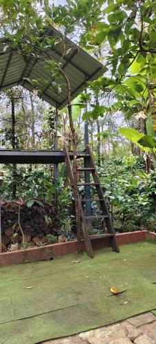 CENTAURUS Coorg HOMESTAY - image 5