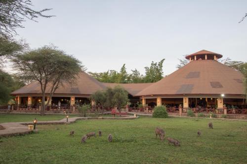 . Kilima Safari Camp