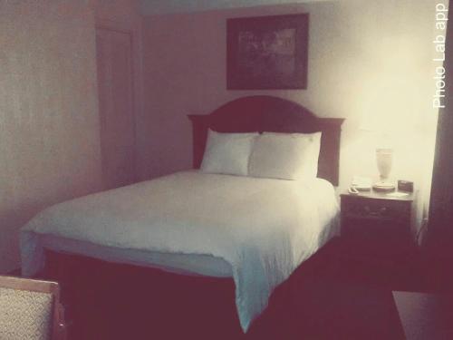 1 queen bed