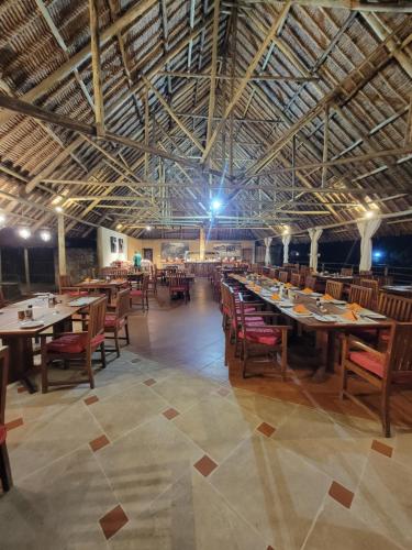 Fig Tree Camp - Maasai Mara in Narok