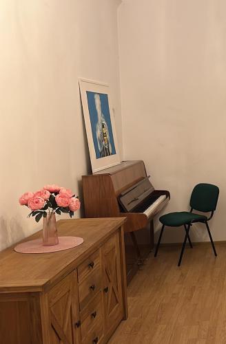 Central Studio in Даугавпілс