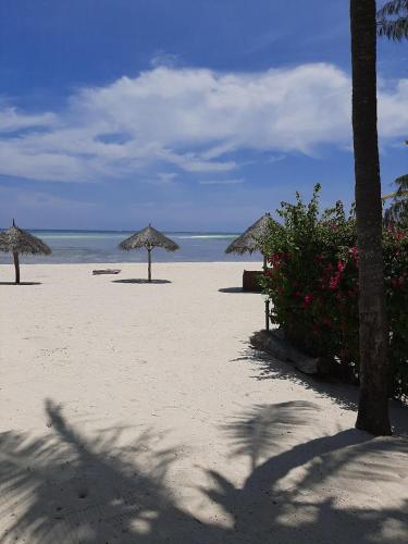 platja, Nyumba ya Bubi in Watamu
