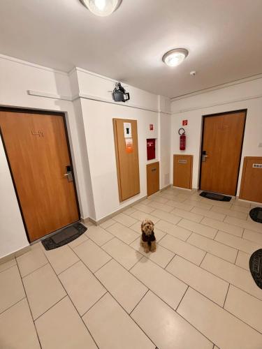2 bedrooms, 6 beds