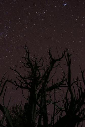 Attractions, Seet Room in Rustaq