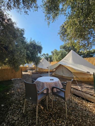 Ruina Glamping in شوكيرتمي