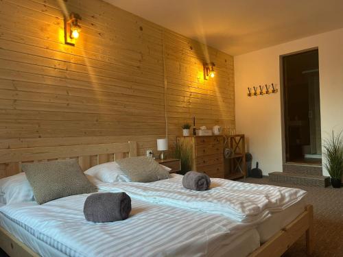 Apartmany u Palavy in Pritluki