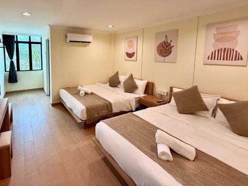 Serene Turtle Hotel in กัวลาตรังกานู