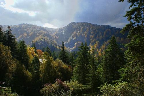 Exterior view of Cabanas Ta Pefka