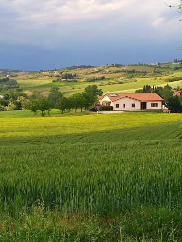 Agriturismo Il Mio Casale in Monte Colombo