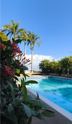Confortable Apartamento de Playa en Los Corales - La Guaira in Caraballeda
