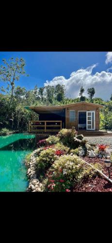 Natural Island in Adjuntas