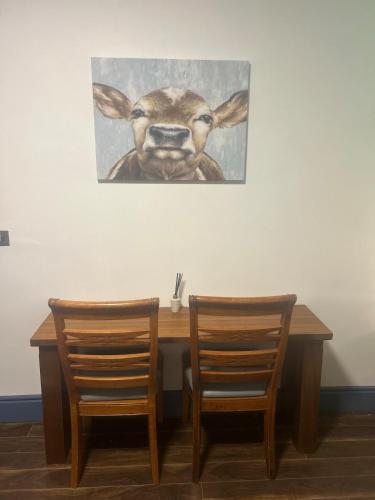 2 Bedroom Workers Apartment in Tyrrellspass